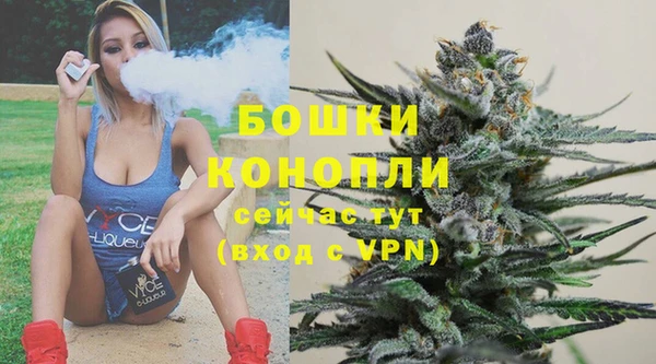 индика Богданович