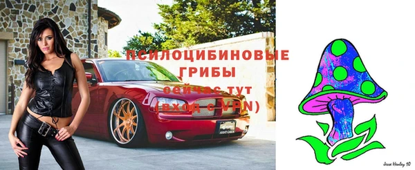 соль курить ск Бронницы