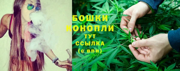 spice Бугульма