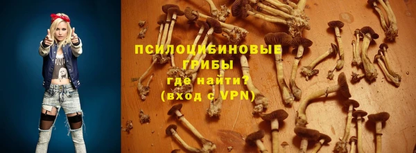 spice Бугульма