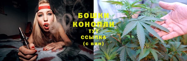 соль курить ск Бородино
