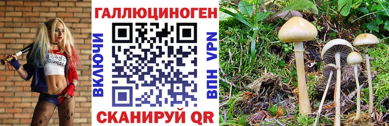 Галлюциногенные грибы Cubensis  Купить где  Мамадыш 
